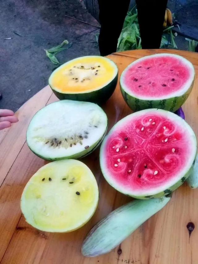 葡萄、荔枝、西瓜、莲雾……厦门夏日采摘上新啦！