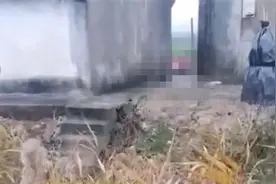 七旬老汉怀疑儿子并非亲生后将儿孙残忍杀害？警方回应图片