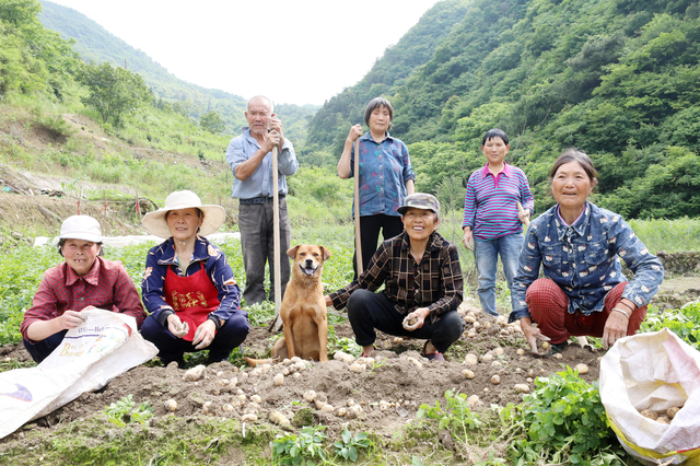“山村收菜计划”再升级！杭城一批亲子家庭上周末驱车200公里赶到这个海拔600多米的小山村……