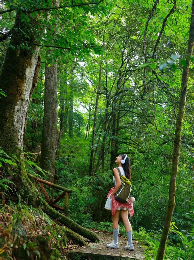 夏日纳凉避暑TOP1！亲子耍水、徒步吸氧、度假风打卡地，22°的夏天抓紧来！