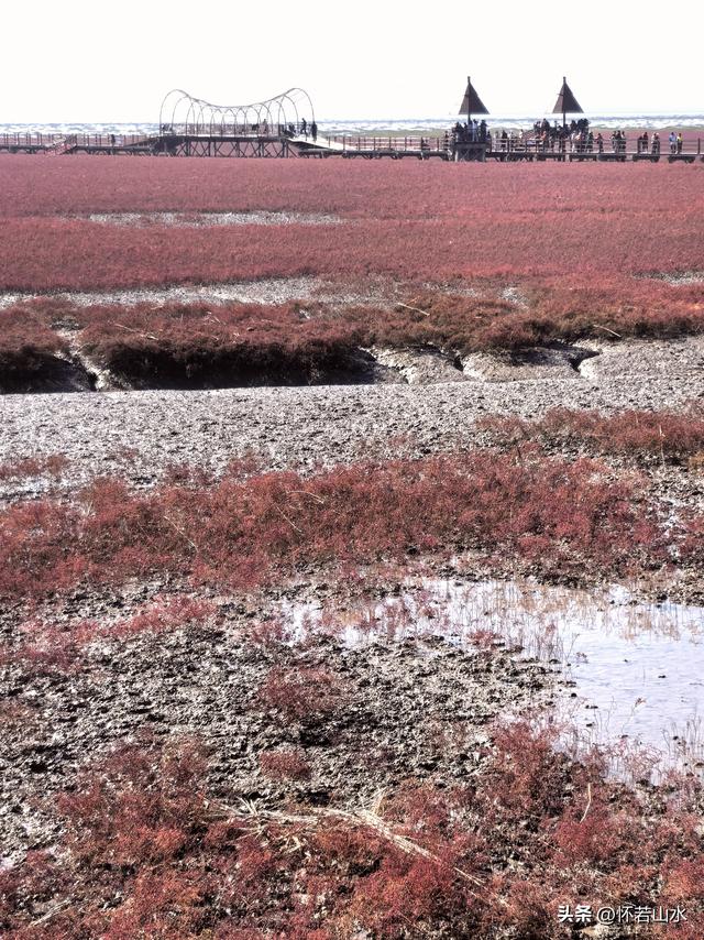 2025辽宁赏秋之旅日记(5)——从本溪前往盘锦 游览红海滩景观