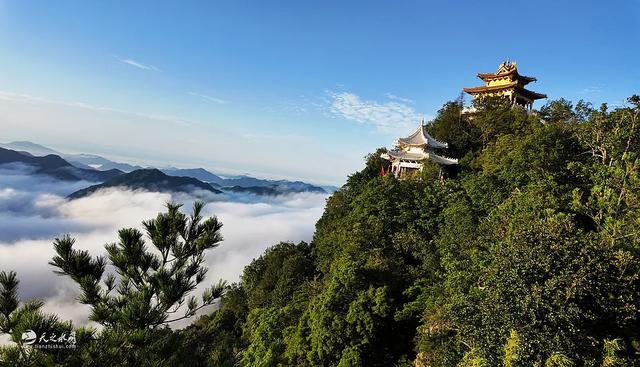 陇上仙境何处寻？秦州李子园——云海、森林与千年乡愁的清凉秘境