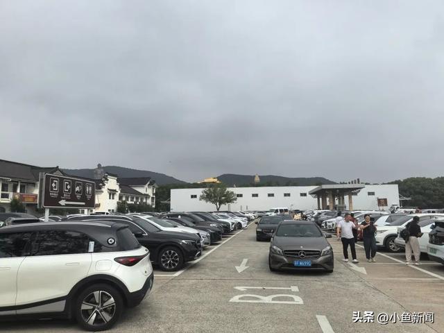 大批苏F大军涌入无锡！