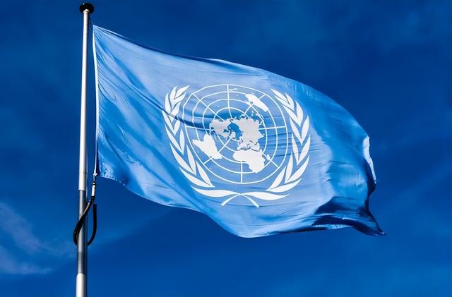 美俄英法点头不管用，中国一票否决，朱拉尼在联合国洗白失败