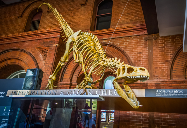 今年冬天，我想去这里过夏天