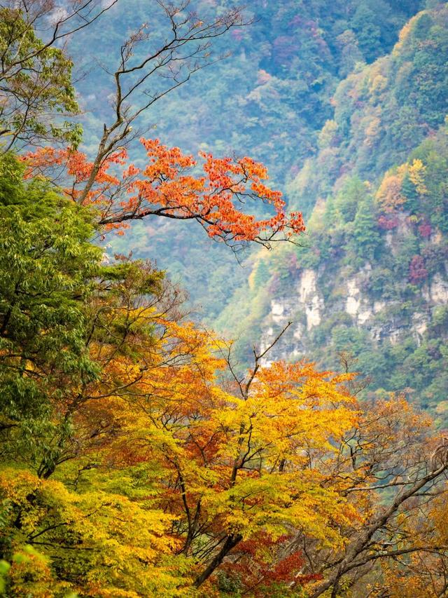 广元旺苍，倒也不必美得如此满分！！！