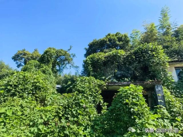 周末休闲好去处!探寻汉朝古寨千年古村,登悬空观景台一览绝美