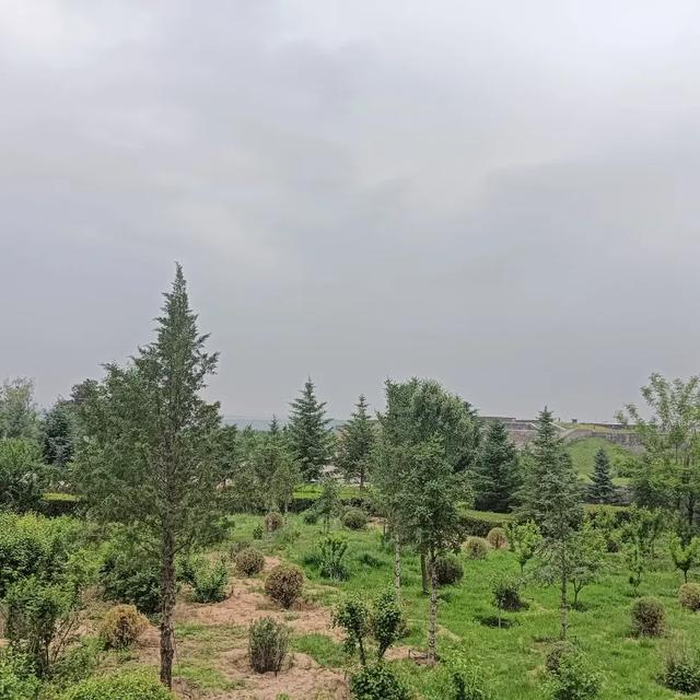 来盛乐博物馆，送您一朵小红花~