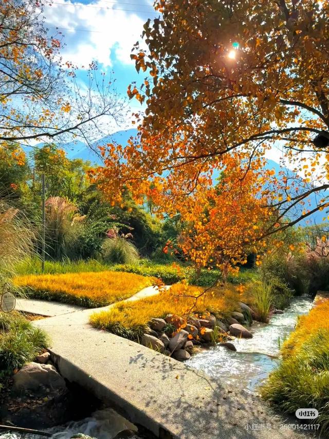 比西昌人少，比昆明更近！高铁直达20℃小众春城，赏花摘果泡温泉！3元草莓吃到撑~