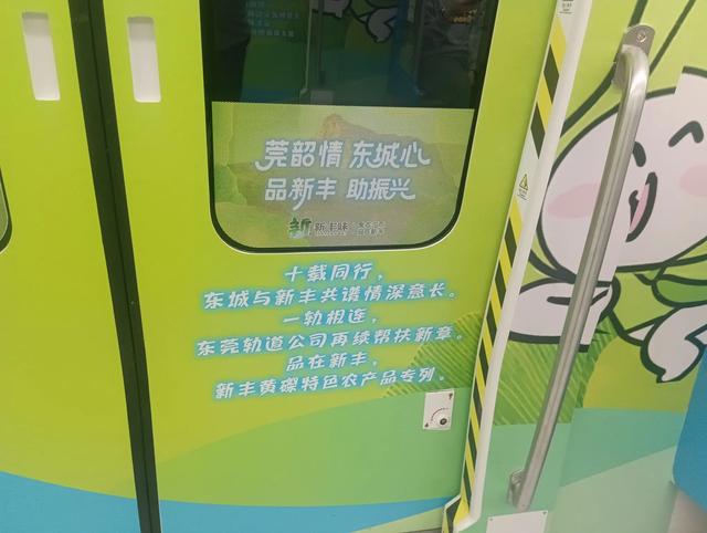 在韶关新丰县城的日子里