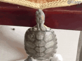 “姑娘，不是什么照片都能随便发的！”哈哈哈亮点都看到了！