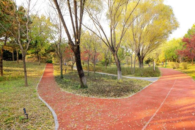 藏不住的惊艳！这座公园正处颜值巅峰