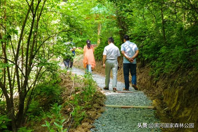 热浪再度来袭？不如进山去！享受20℃+的清凉舒爽