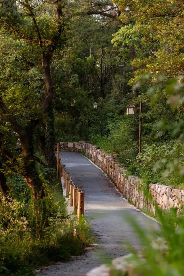 从1公里到33公里,苏州15座山全强度登山攻略!