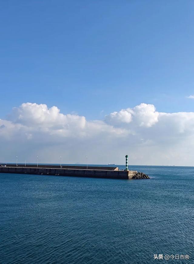 冬日限定浪漫！跟着蒋欣去海上喂海鸥！