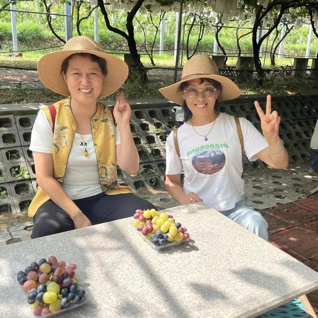 葡萄树下话振兴 | 岛城旅行社走进平度，探寻文旅发展密码！