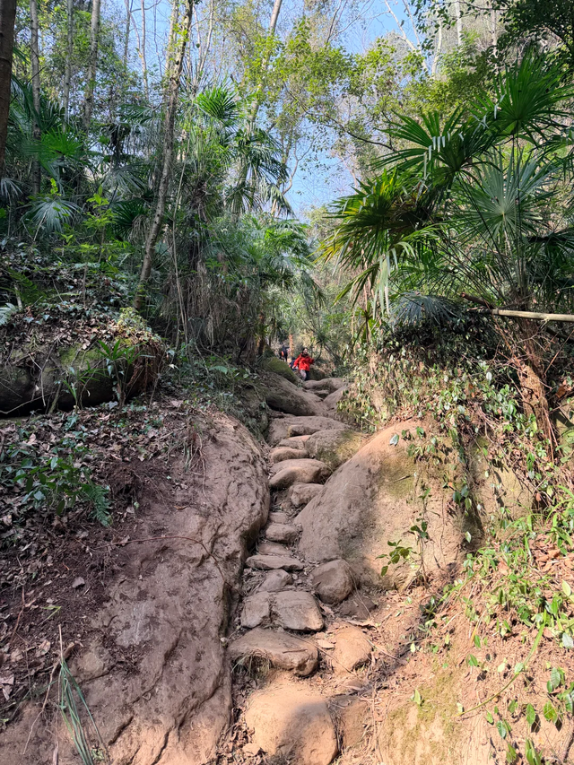奖牌首发！成都1.5h新晋野趣徒步线，绳索上下+森林秋千，太野了