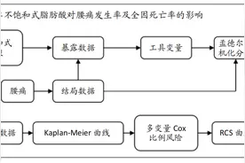 单不饱和式脂肪酸与腰痛和全因死亡率的关系：基于NHANES流行病学因果推论图片