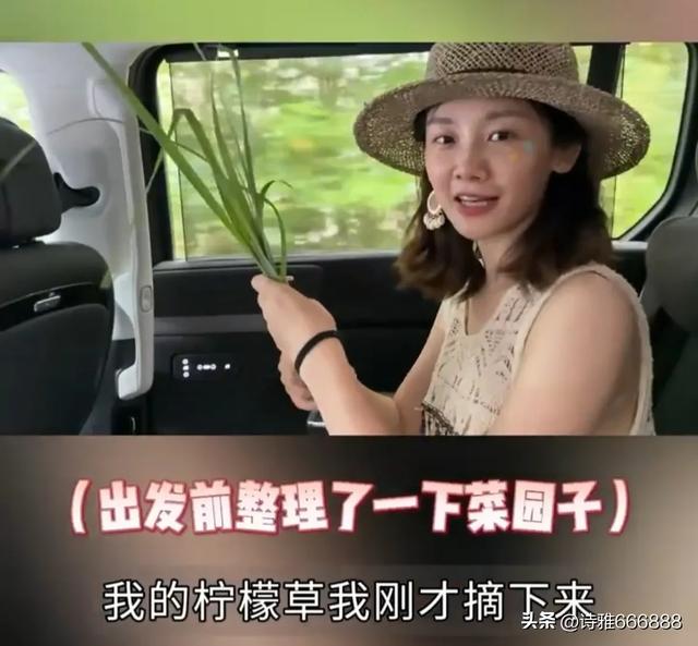 郑恺和苗苗暑假带儿女去阿那亚旅游，一家人幸福感都溢出屏幕了！