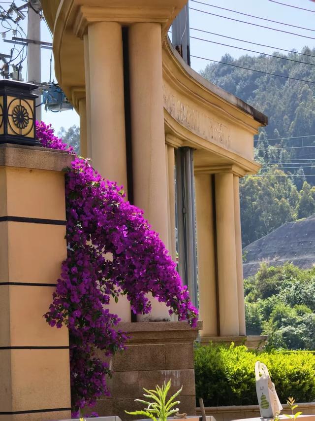 抬头！在寒冷的冬天再欣赏欣赏科院的秋吧