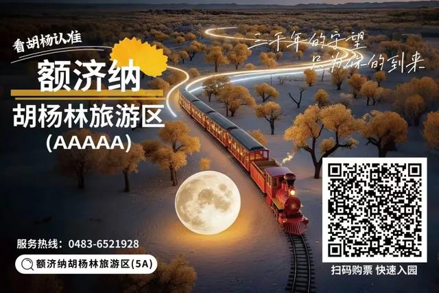 九月十月，额济纳正式进入“封神期”！这份秋日旅行攻略请收好！