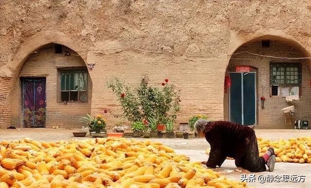 退休后跟着儿子到陕西延安生活了一年，说实话，我羡慕这的生活了