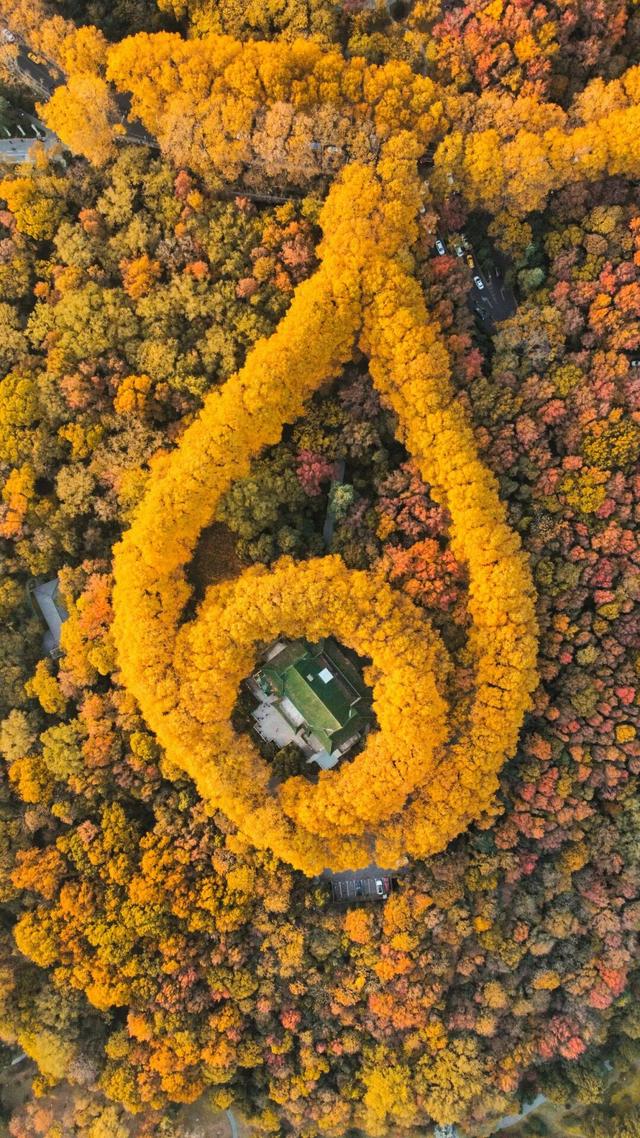 12月特价机票来了！成都出发低至270元！去看红叶/玩雪！