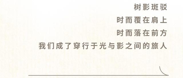 山水间最动人的烟火