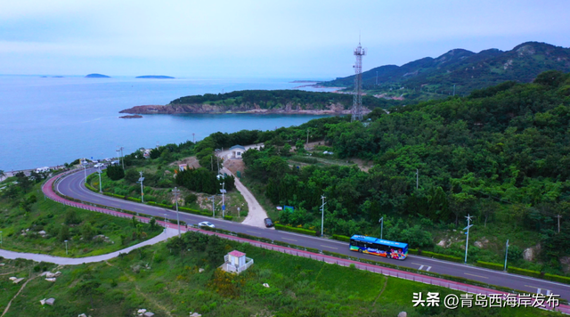 免费坐，去旅行！公交车上“打鲜啤”！