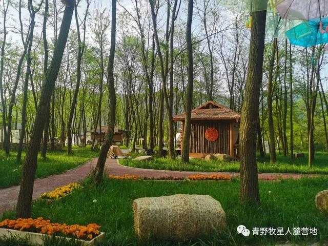 宝鸡这4个宝藏露营地，先收藏再出发~~~