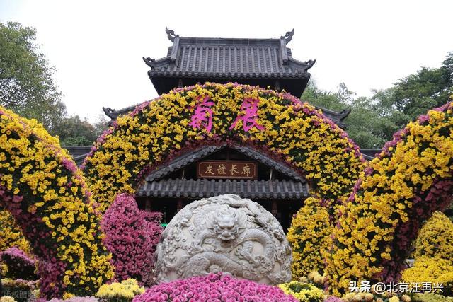 佳节又重阳，汴菊遍地香，赏菊花，还得到汴梁，大宋堂皇