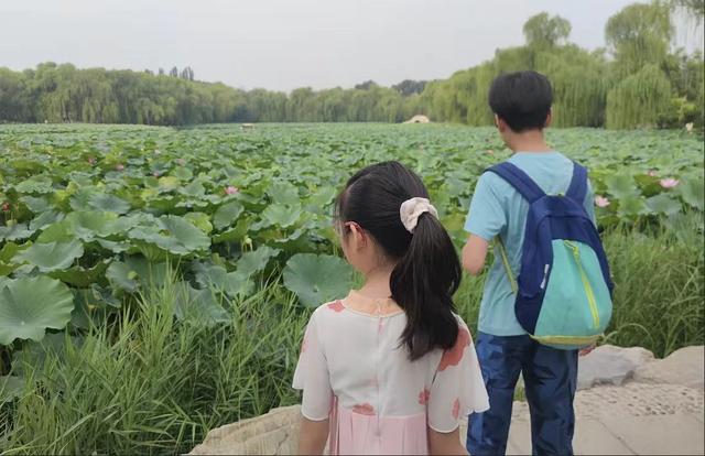 听劝，2-3小时圆明园亲子攻略，轻松不累