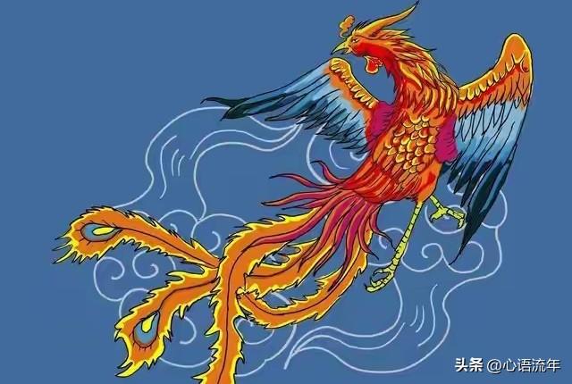 今天过后，你将涅槃重生，所有的磨难过去，你的人生从此与众不同