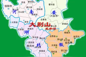 03鄂豫皖根据地的重要发展—成立红四军图片