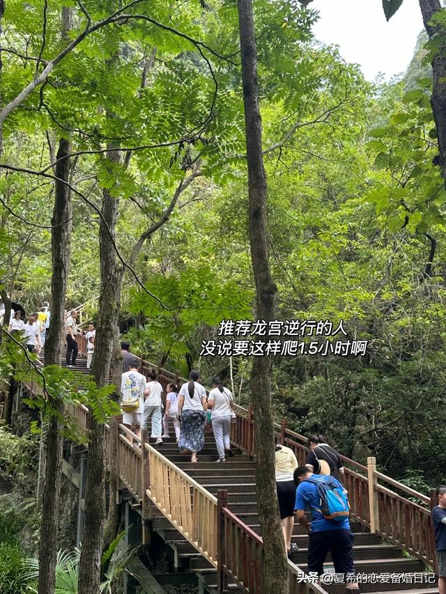 2.5小时速通丨贵州龙宫景区超详细旅游攻略