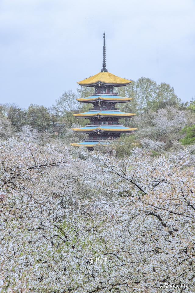 从工业城市到旅游胜地，武汉看似被强制变身，实际是顺天应人