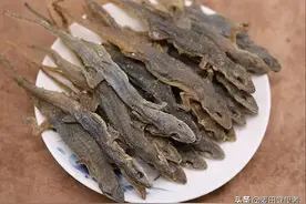 农村空房养它，1000只赚3万！成本低、不占地，药厂抢着收！图片