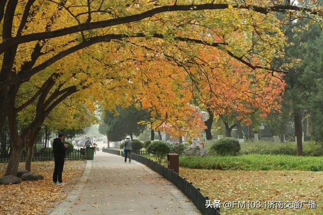 公园景区秋色图鉴,这几处必打卡