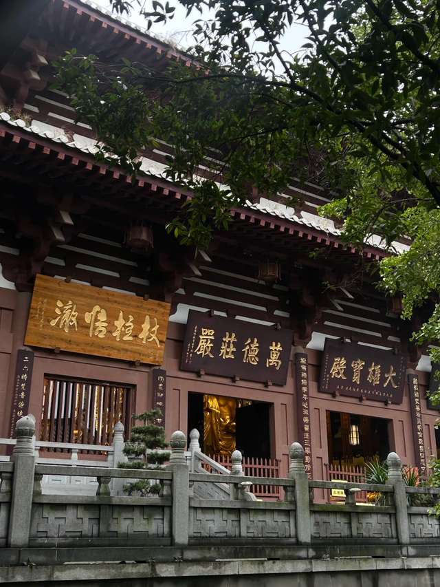 据说是全成都最好吃的斋饭，还能免费蹭课、打坐、诵经，周末走起
