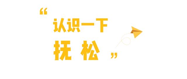 用一场抚松休闲之旅，抓住假期的尾巴！