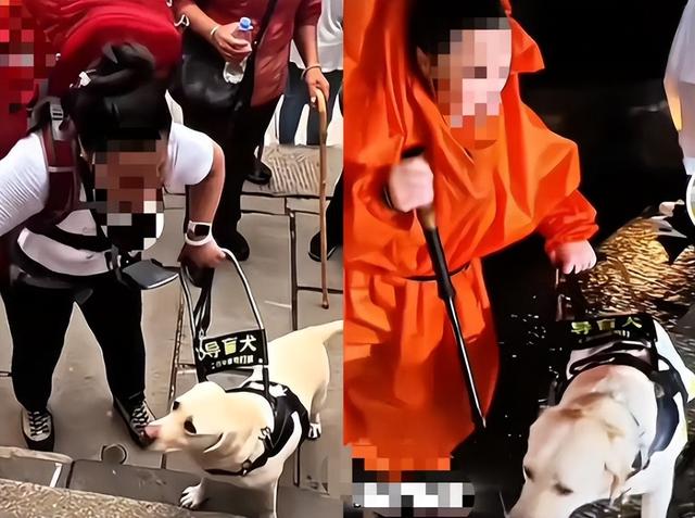 媒体评视障人士带导盲犬爬泰山