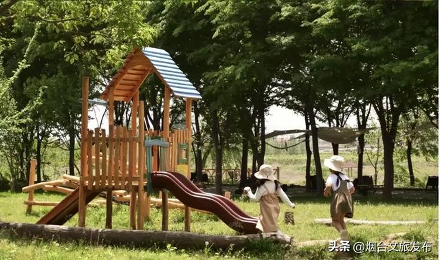 【乐游烟台】逛遍烟台，我最喜欢的慢节奏小城出现了→