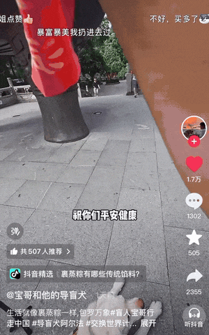 百万粉丝达人宝哥携导盲犬游览鼎湖山，直呼：空气好清新！