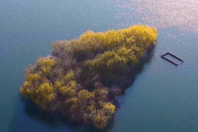 图集丨黄前镇：初冬美景正当时