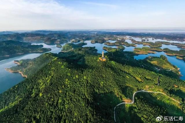 除了“YYDS”，我们还可以这样夸仁寿