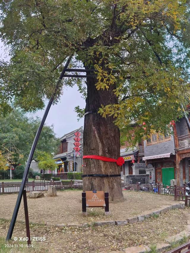 青州古城——一场大雨与千年历史的邂逅