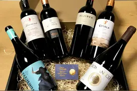 西班牙产区有哪些学问？图片