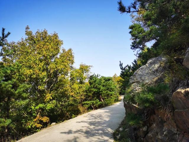 重阳节登高望远