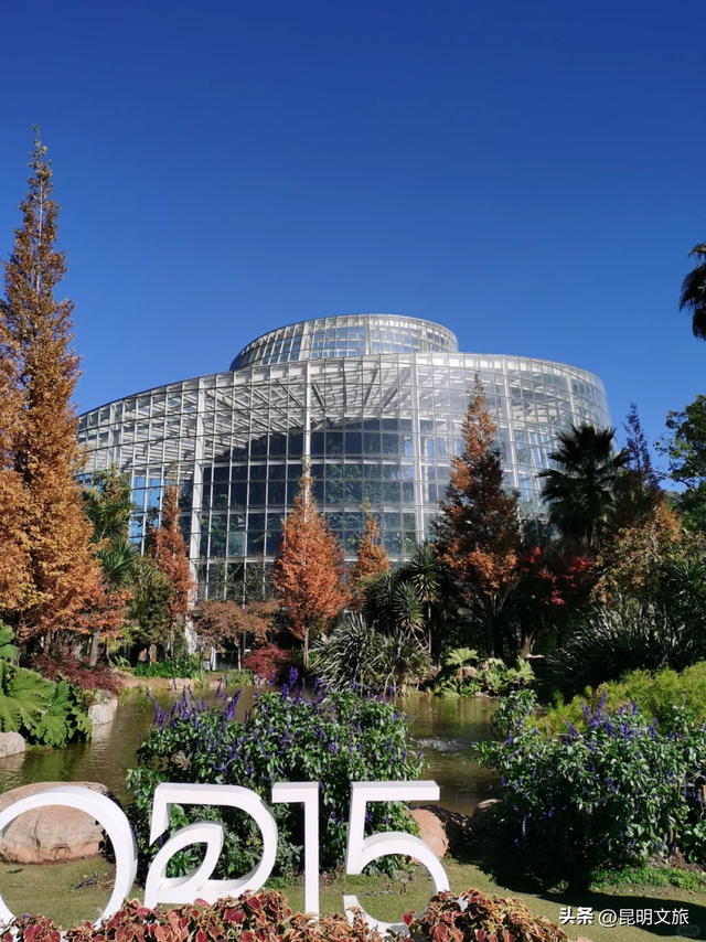 初冬出片C位！昆明这个地方必须榜上有名，周末抓紧冲~