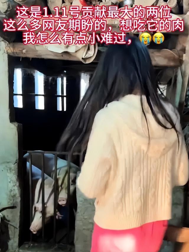呆呆妹也没想到，杀猪宴收官才1天， 一家人就走上了大衣哥的老路